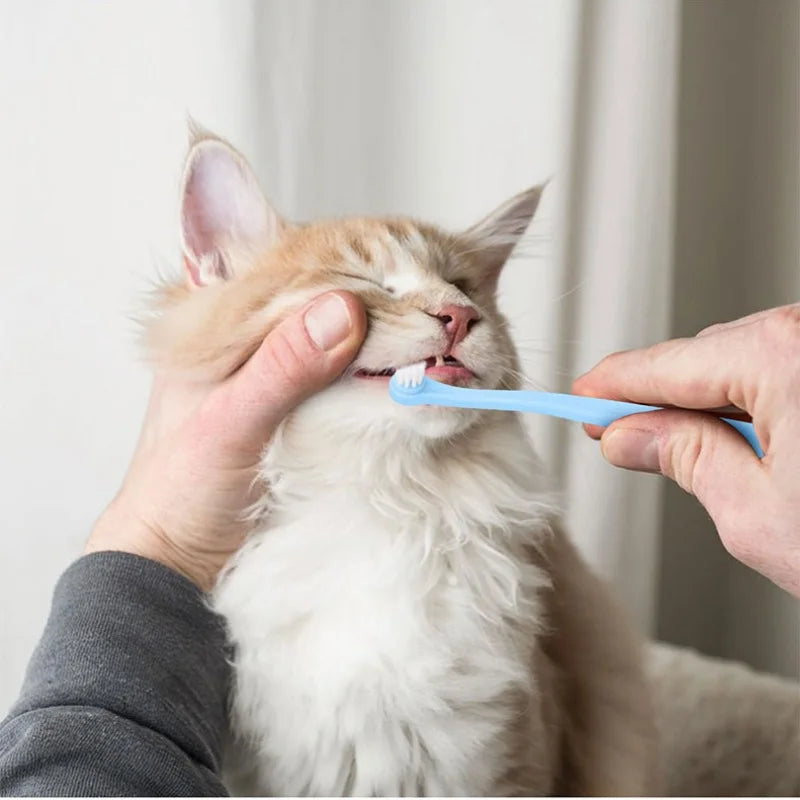 Pet Toothbrush – Bright Smiles, Happy Pets!