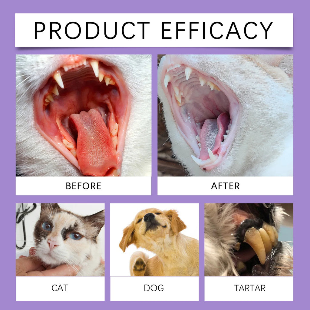Dog & Cat - Pet Dental Spray – Healthy Smiles, Fresh Breath, Zero Stress!