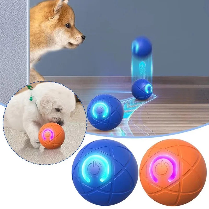 PawMotion™ Active Ball