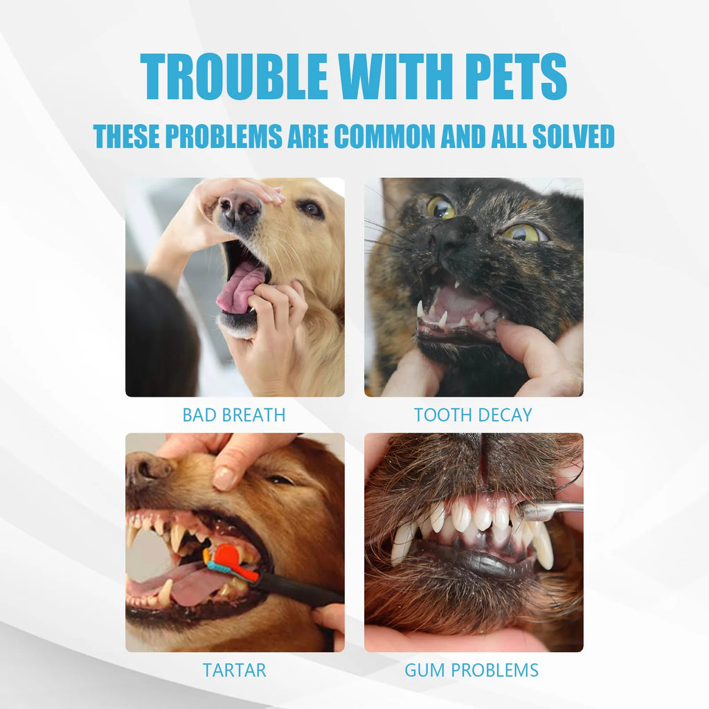 YEGBONG Pet Toothpaste 60g – The Touch of Luxury Your Pet Deserves