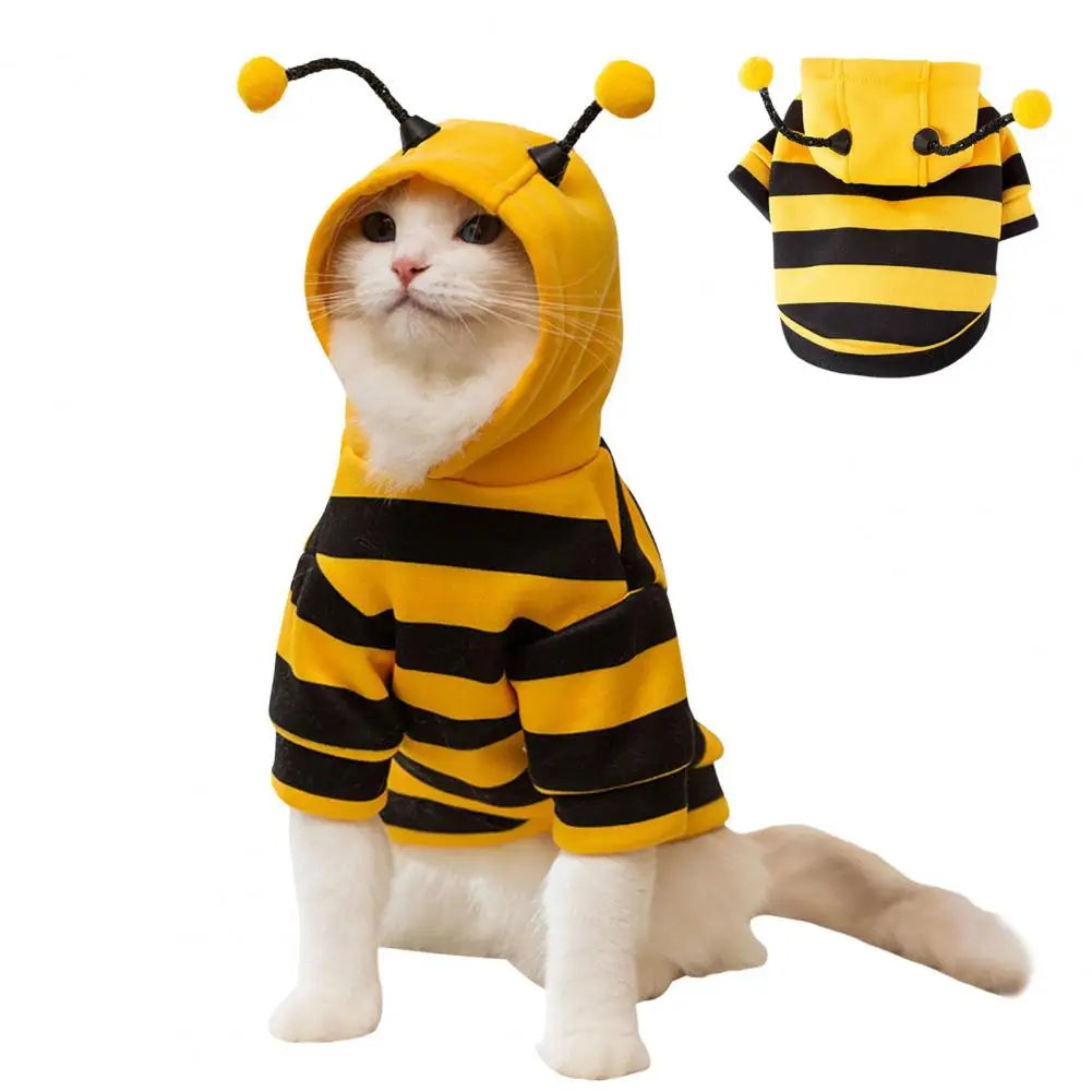 Bee Costume Cute & Stylish – Dress Your Cat to Steal the Show!