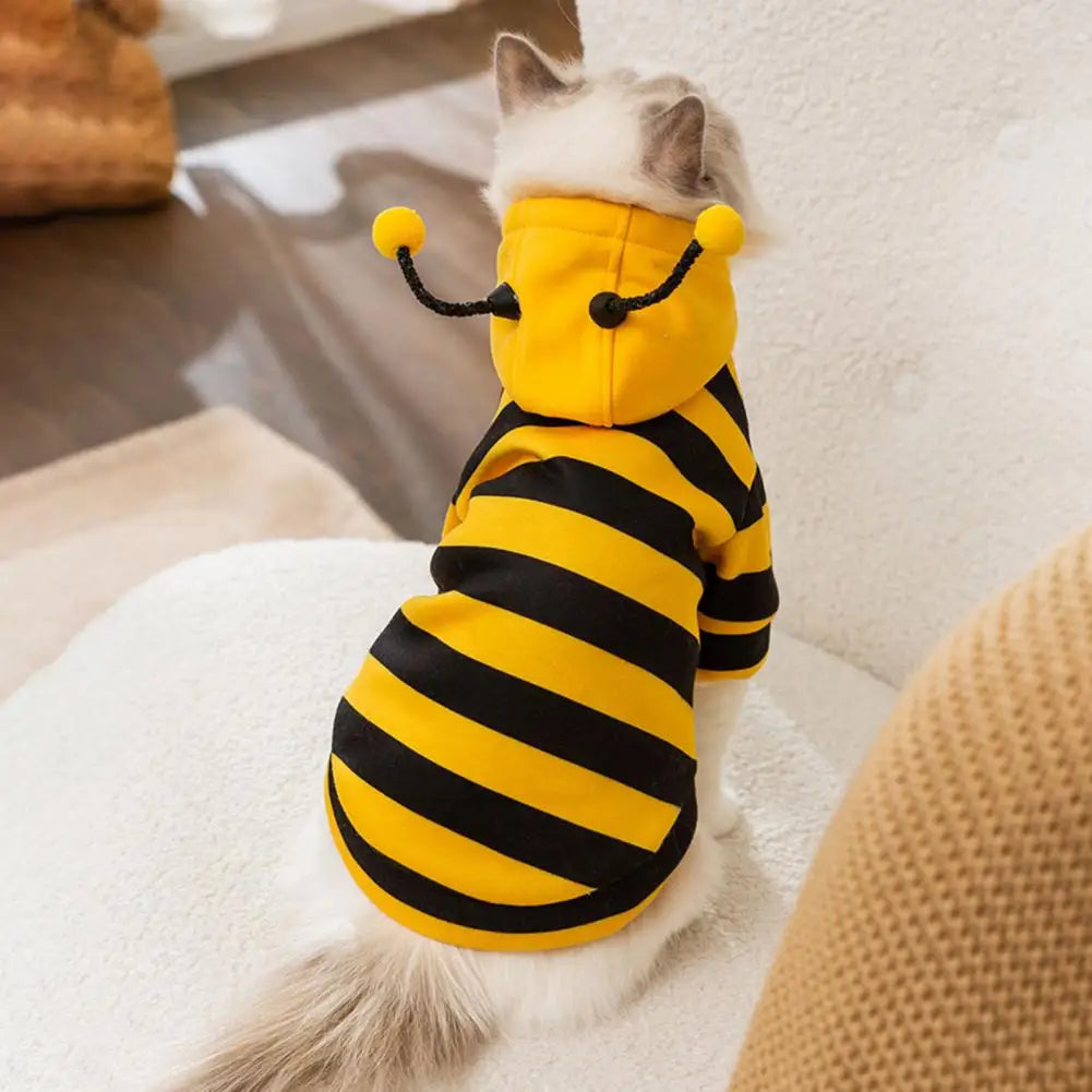 Bee Costume Cute & Stylish – Dress Your Cat to Steal the Show!