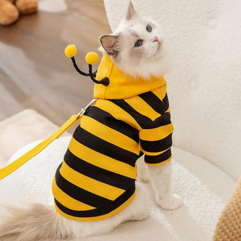 Bee Costume Cute & Stylish – Dress Your Cat to Steal the Show!