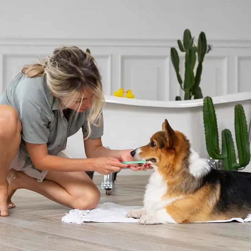 Pet Toothbrush – Bright Smiles, Happy Pets!