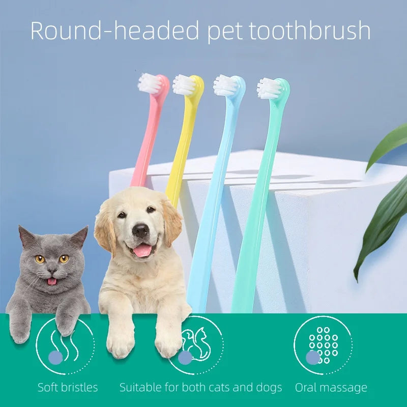 Pet Toothbrush – Bright Smiles, Happy Pets!