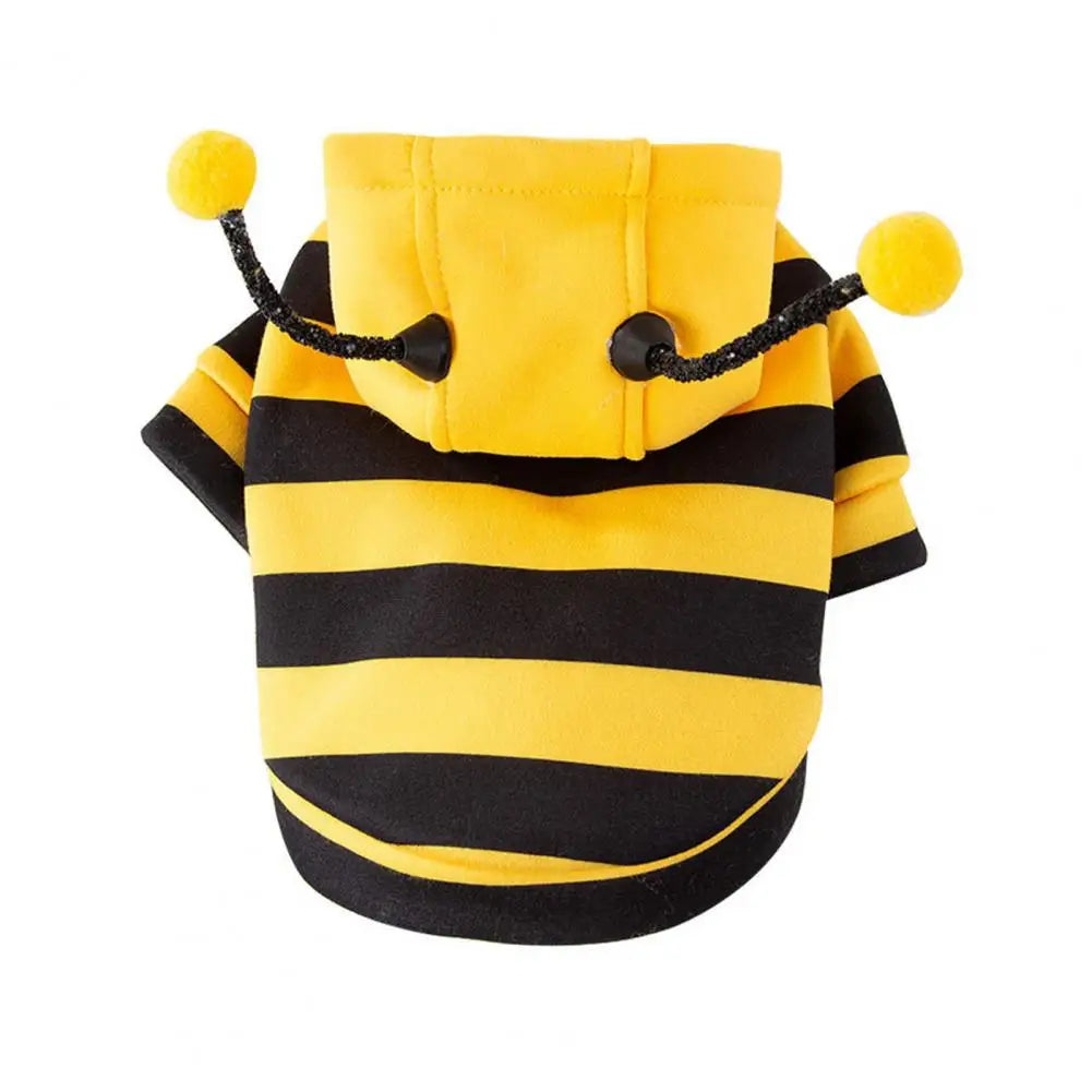 Bee Costume Cute & Stylish – Dress Your Cat to Steal the Show!