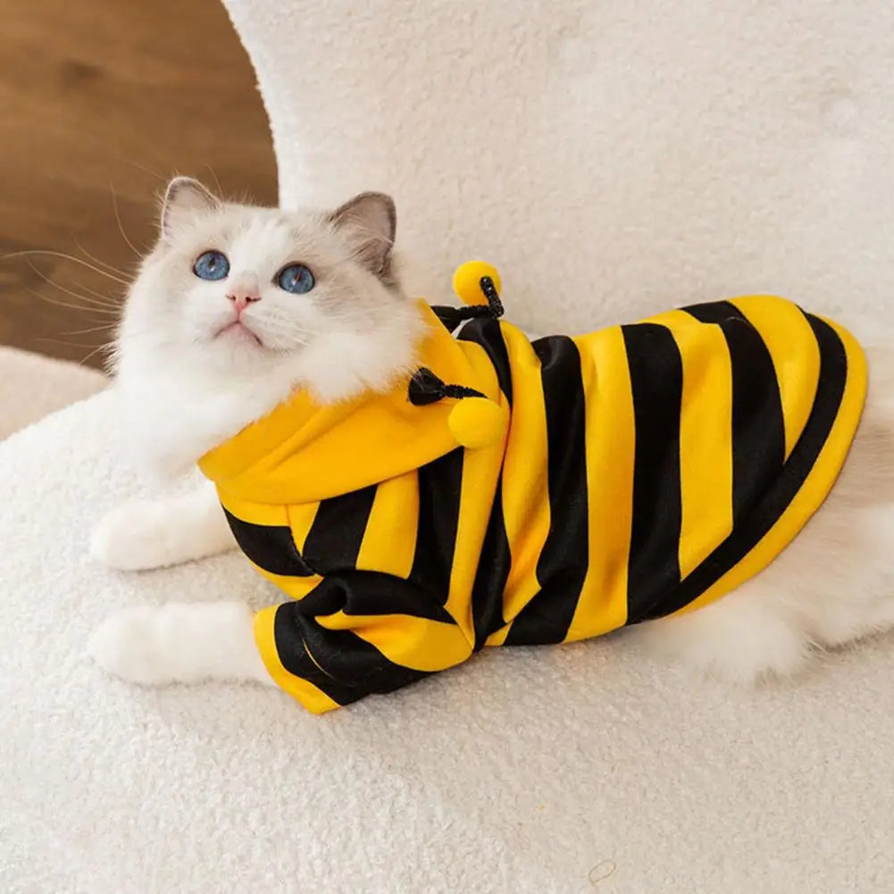 Bee Costume Cute & Stylish – Dress Your Cat to Steal the Show!
