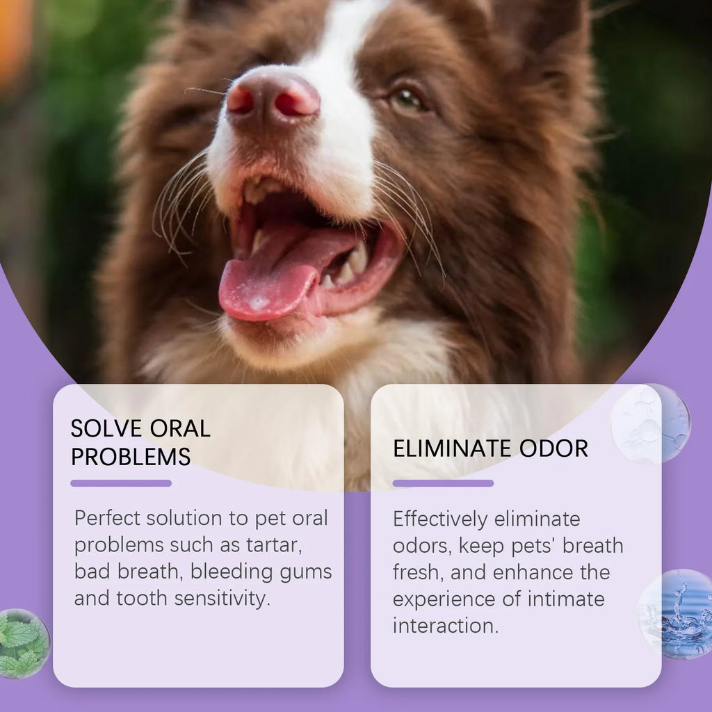Dog & Cat - Pet Dental Spray – Healthy Smiles, Fresh Breath, Zero Stress!