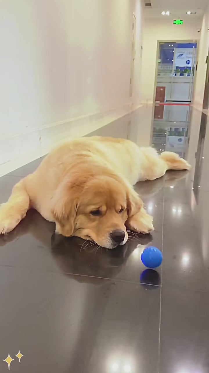 PawMotion™ Active Ball